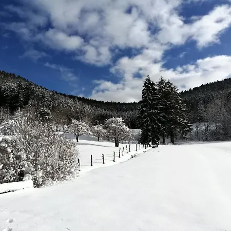 Bühler * Alpirsbach