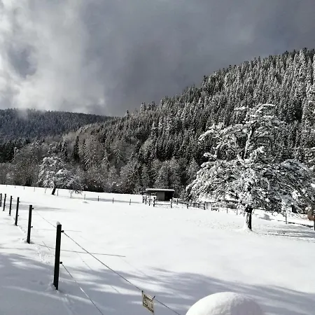 Apartamento Bühler *