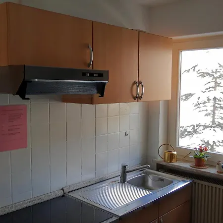 Buehler Apartment