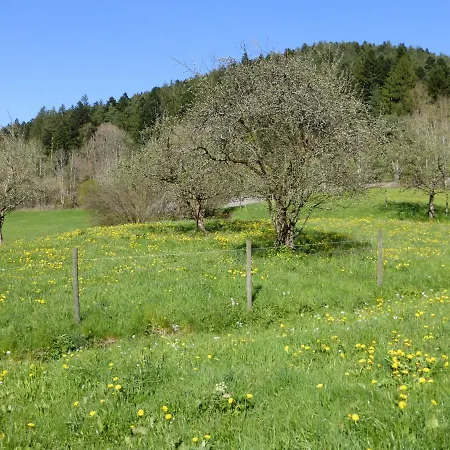 Buehler Alpirsbach