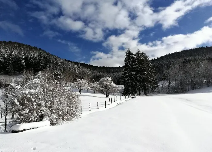 Buehler * Alpirsbach