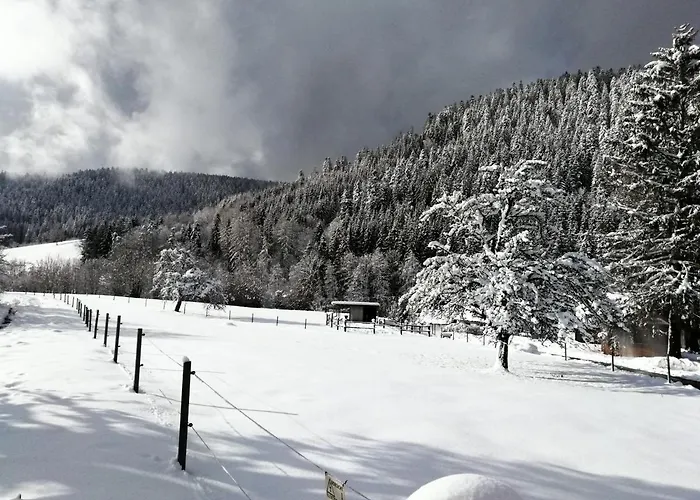 Appartement Buehler *