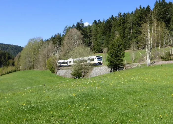 Appartement Buehler *