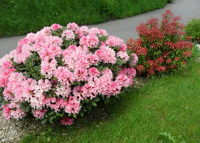 Buehler Appartement *